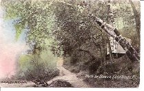 Postcard #52  Path to Beach, Lake Bluff, ILL